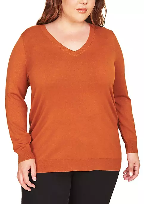 DR2 by Daniel Rainn Plus Size Long Sleeve V-Neck Sweater 5 DR2 by Daniel Rainn Plus Size Long Sleeve V-Neck Sweater - Image 5